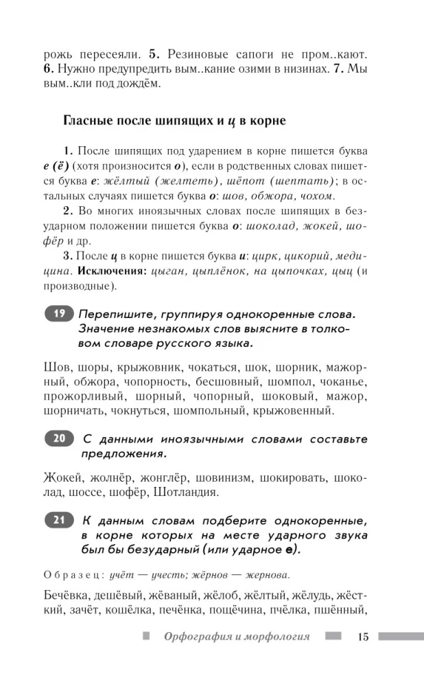 Русский язык для школьников. Орфография и морфология. Синтаксис и пунктуация